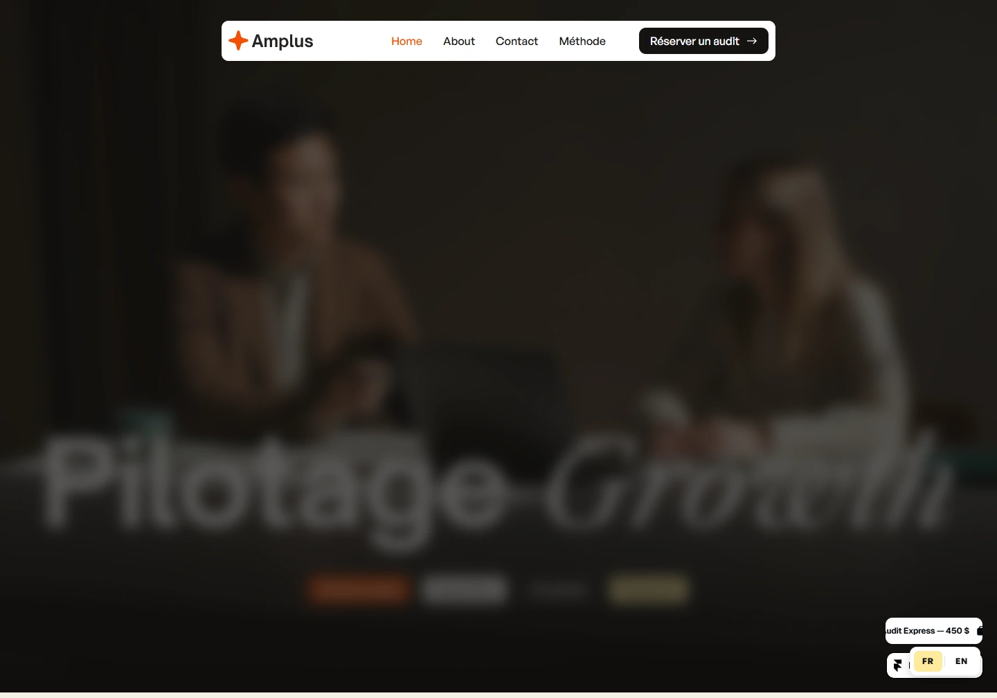 Amplus — website example