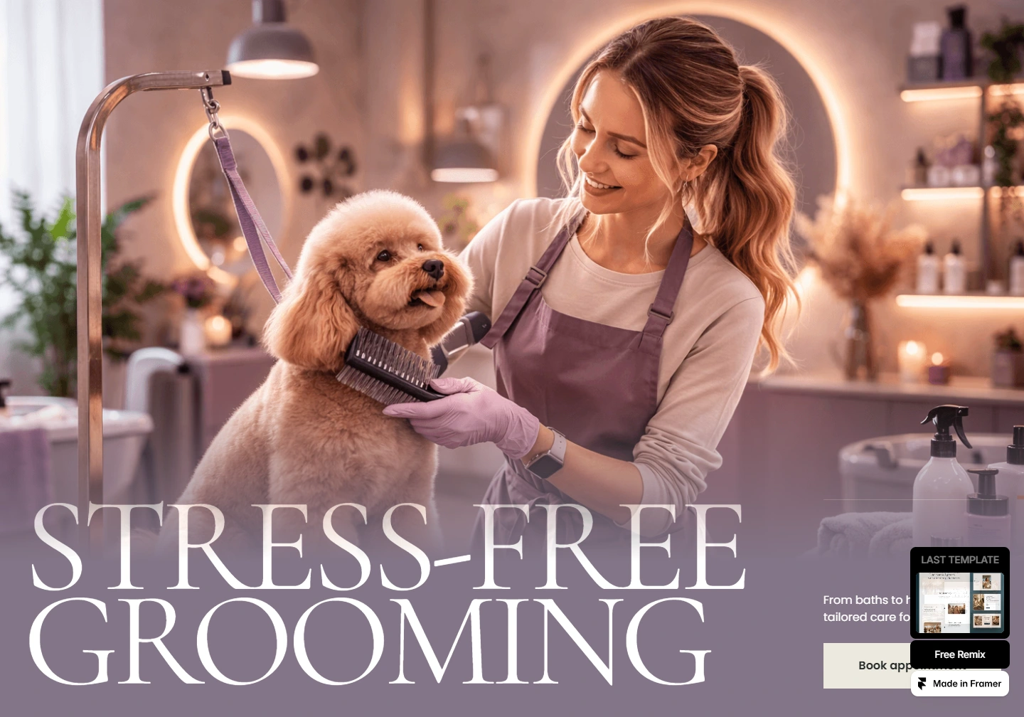 Groomerly — Pet grooming website