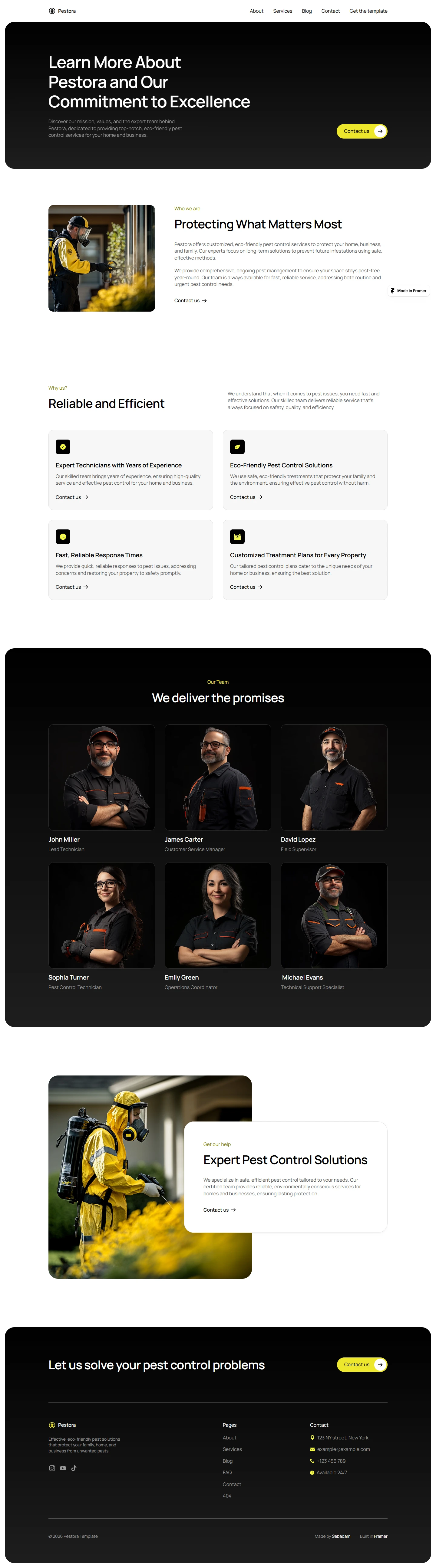 Pestora — Pest control website — About desktop screenshot