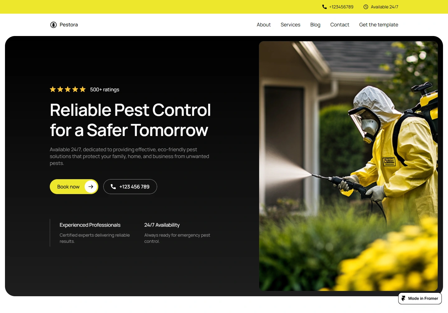 Pestora — website example