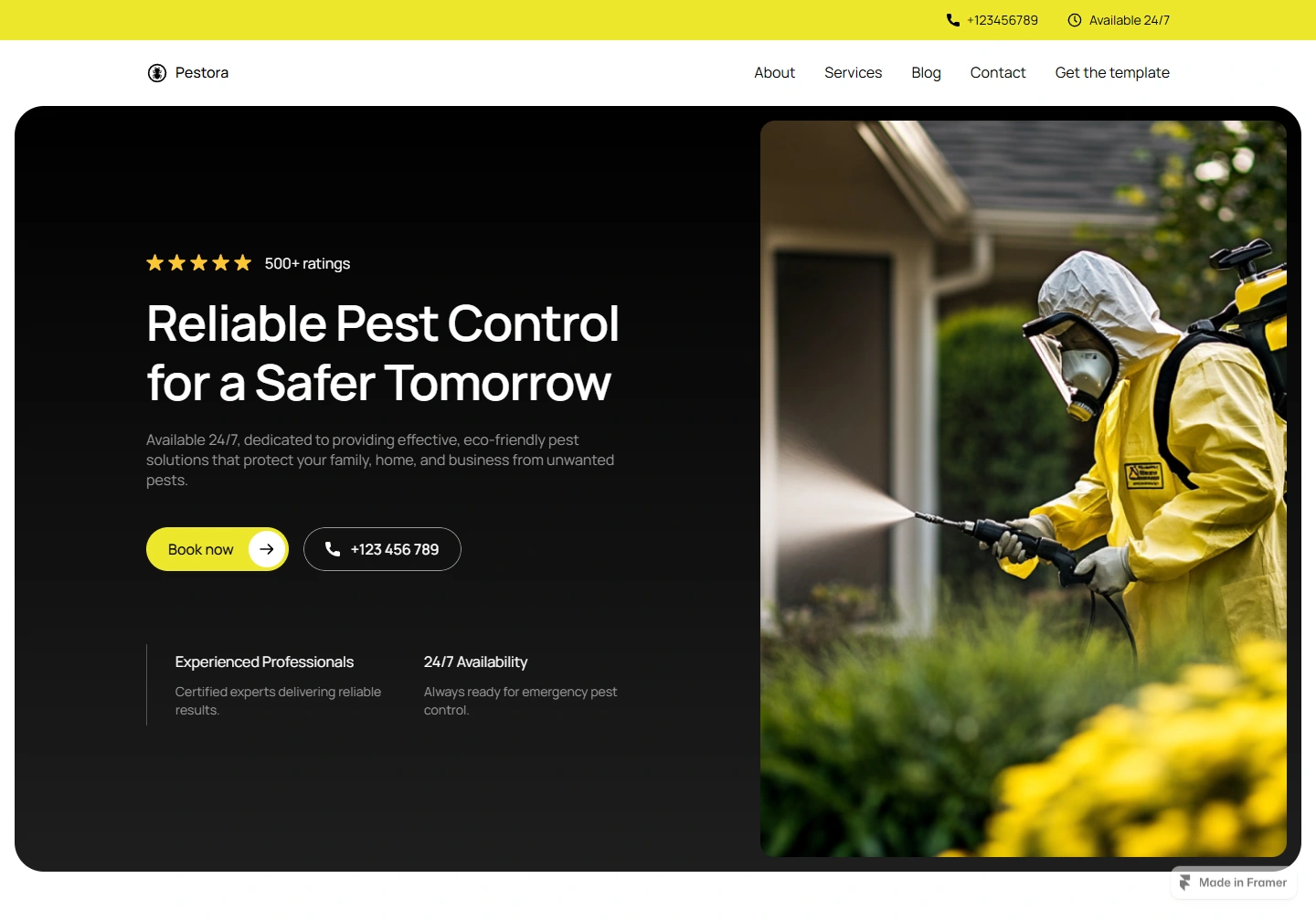 Pestora — Pest control website