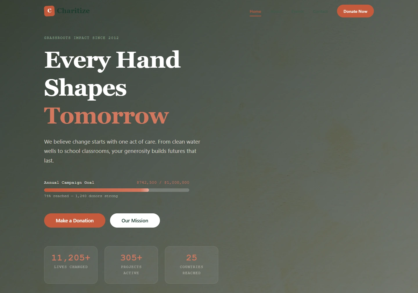 Charity / NGO — Nonprofit website — original design screenshot