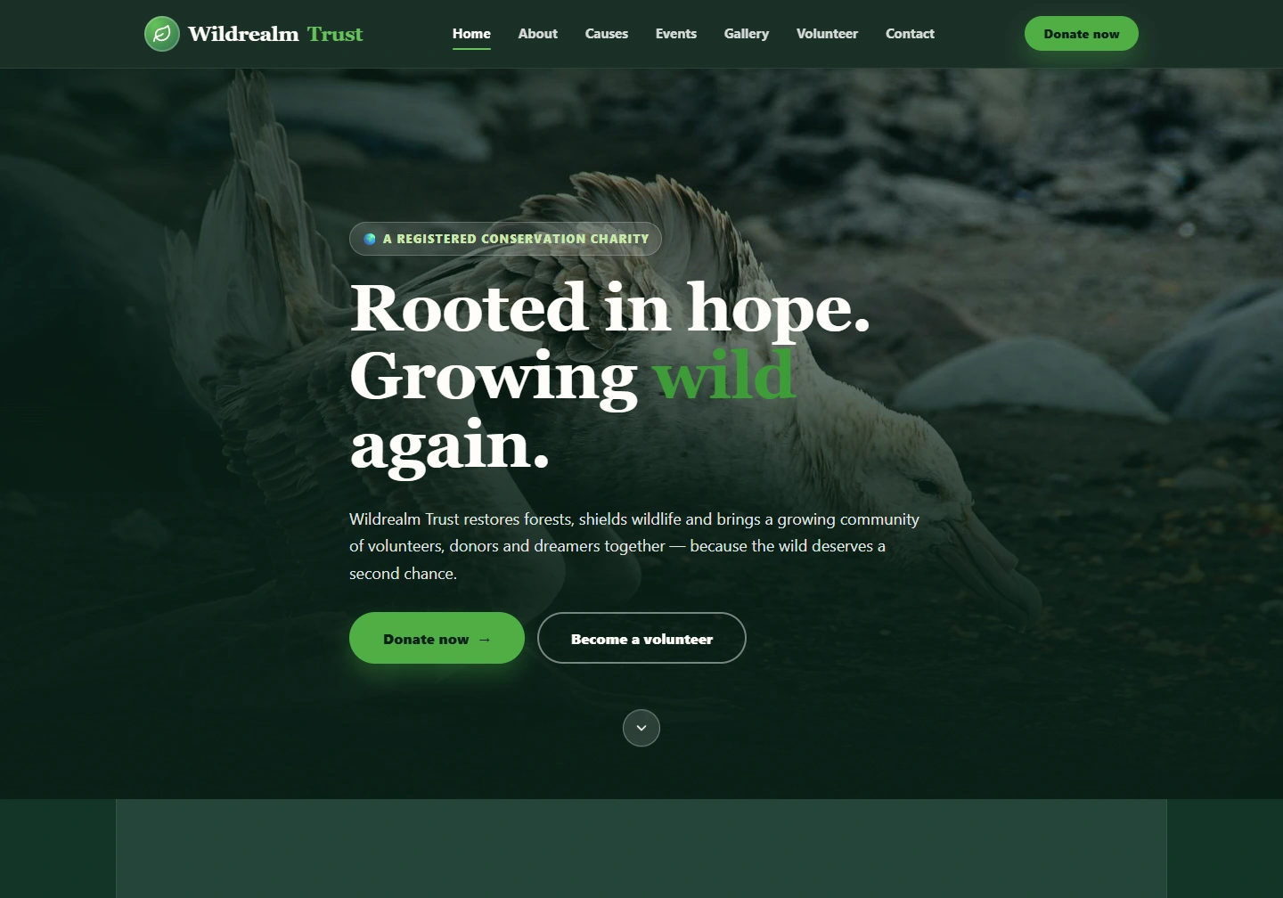 Nature / conservation website demo — original design screenshot