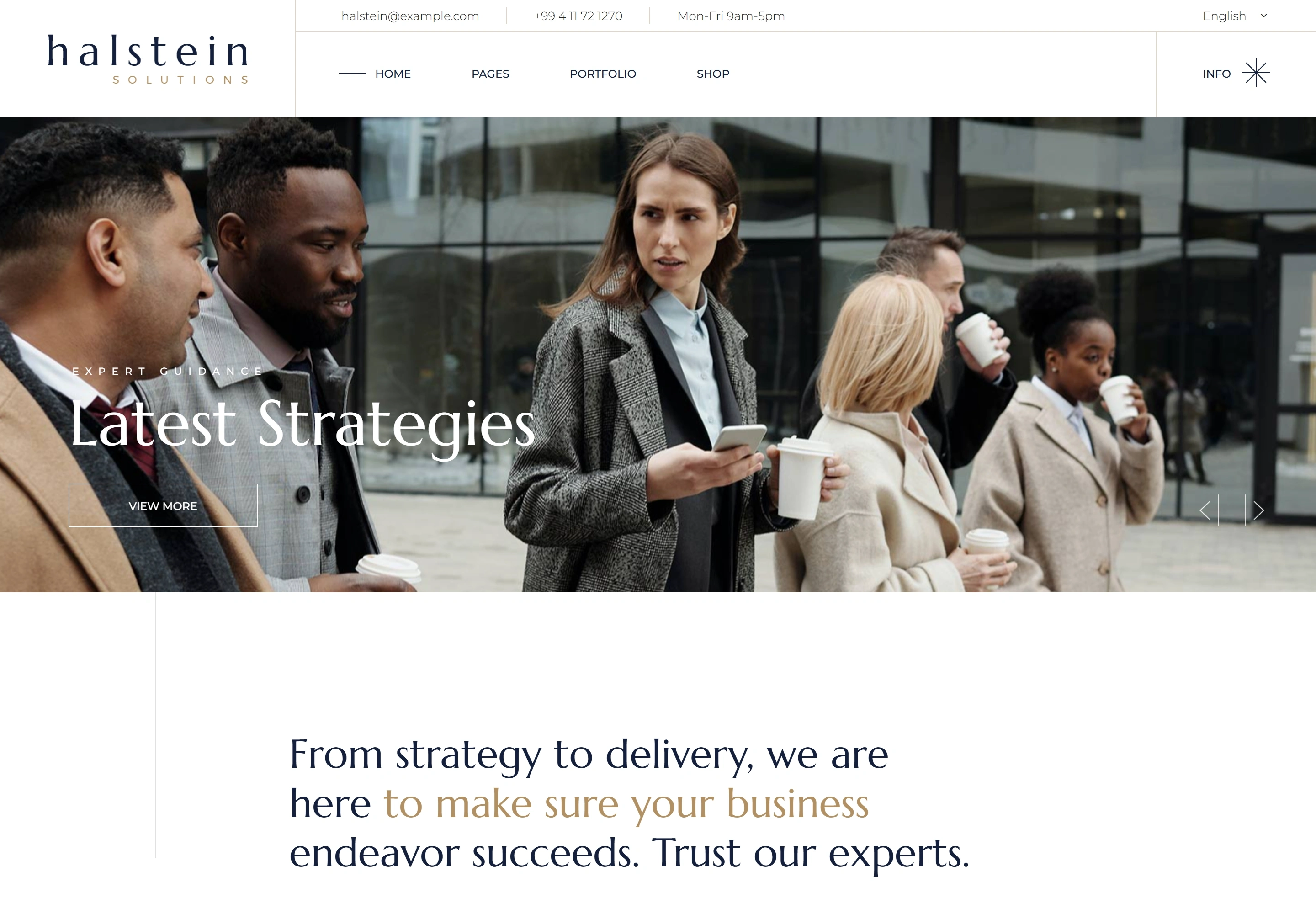 Halstein website — original portfolio image