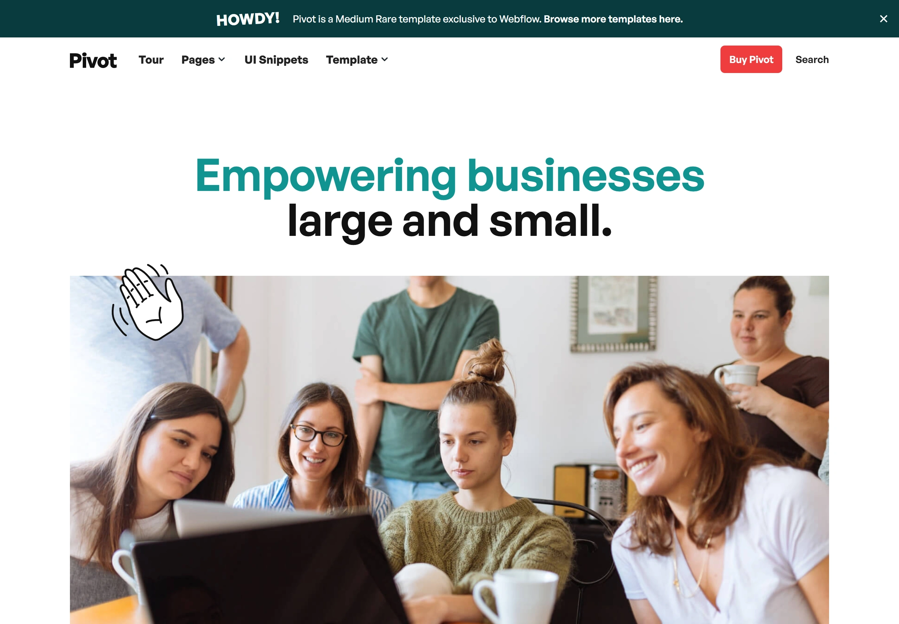 Pivot website — original portfolio image