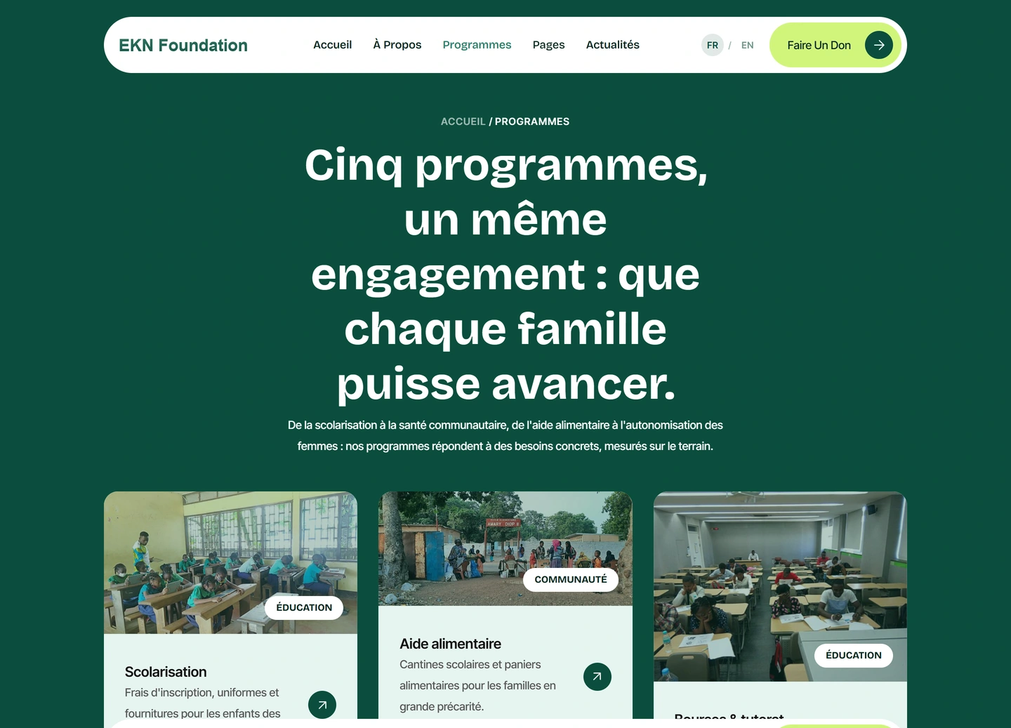 EKN Foundation website — Template pages / programs