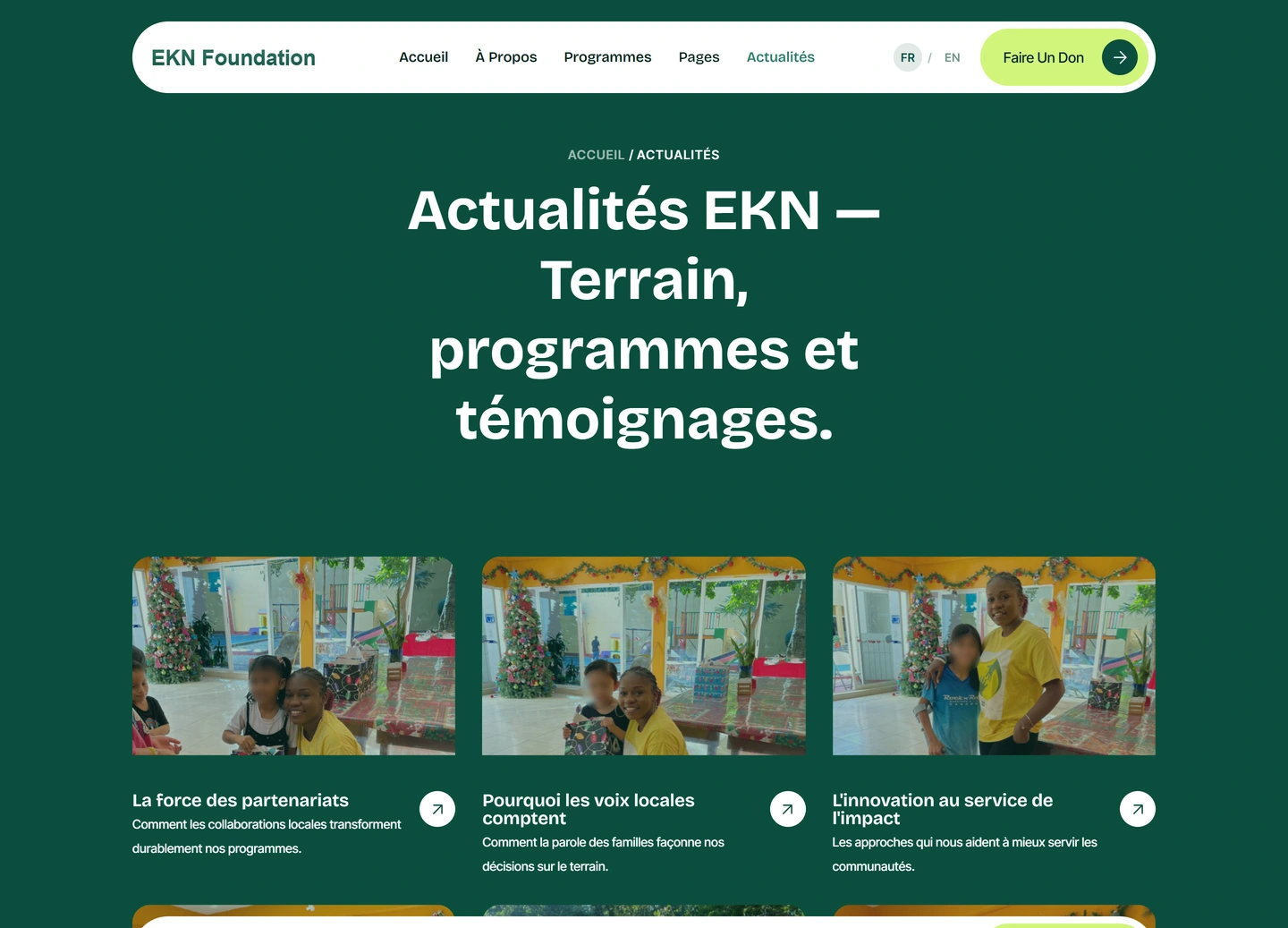 EKN Foundation website — Template pages / blogs