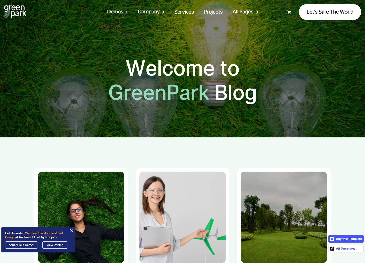 Green Park website design — Blog