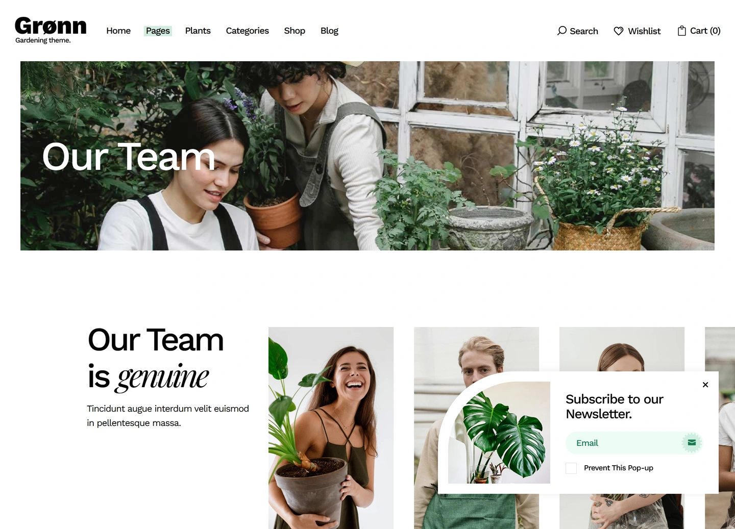 Grønn landscaping website — Our team