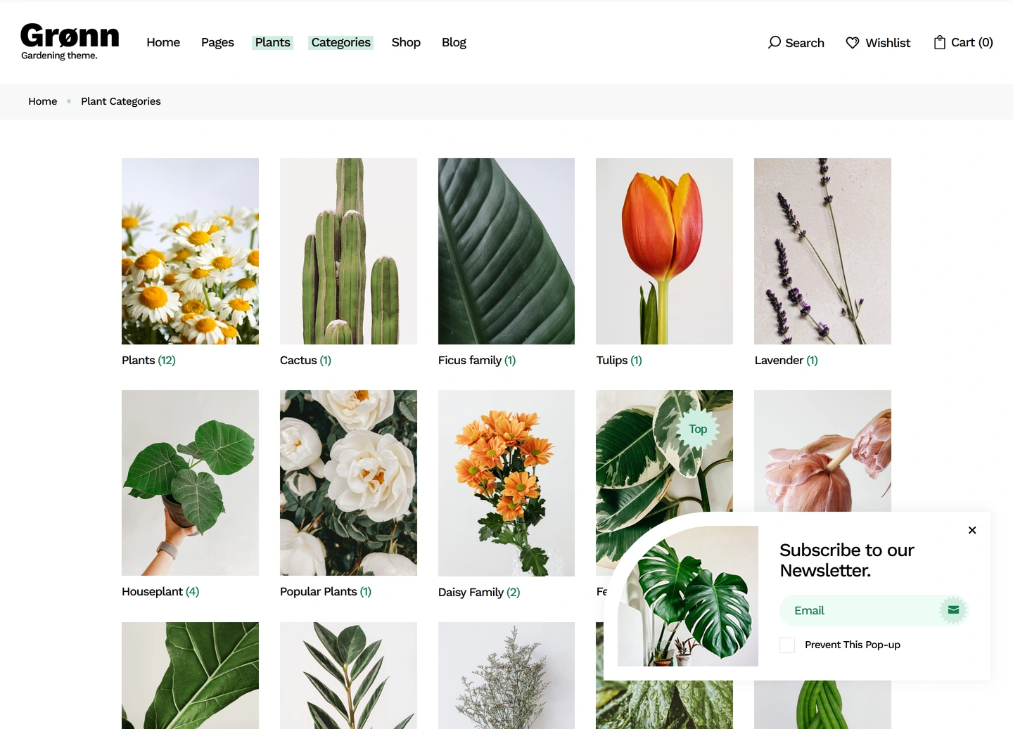 Grønn landscaping website — Plant categories