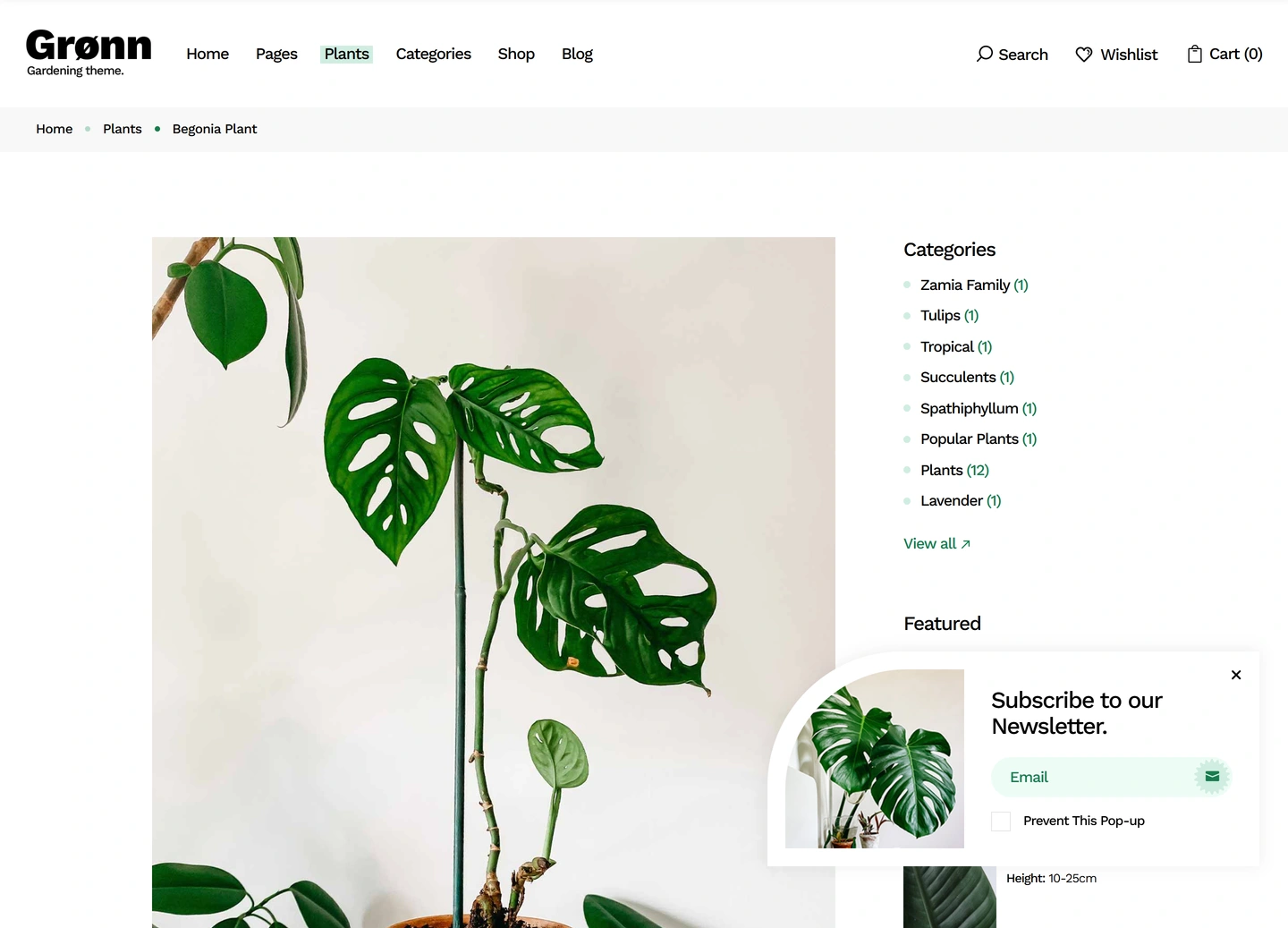Grønn landscaping website — Plant guide / begonia plant