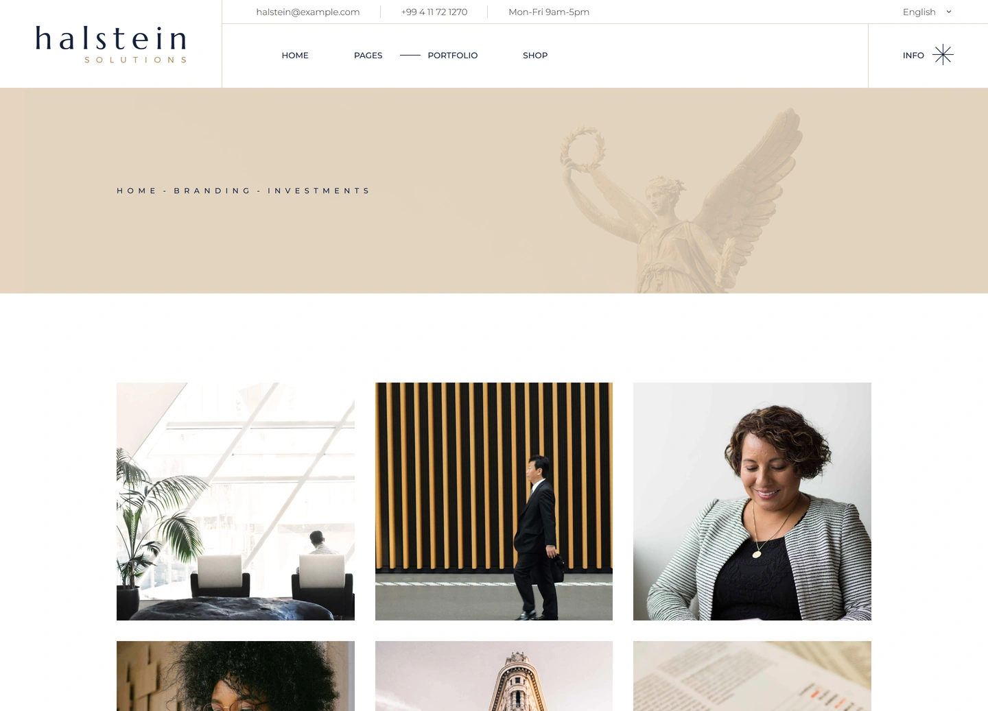 Halstein website — Portfolio item / investments