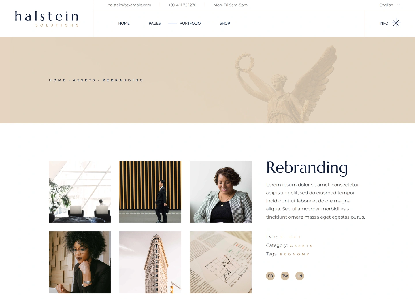 Halstein website — Portfolio item / rebranding