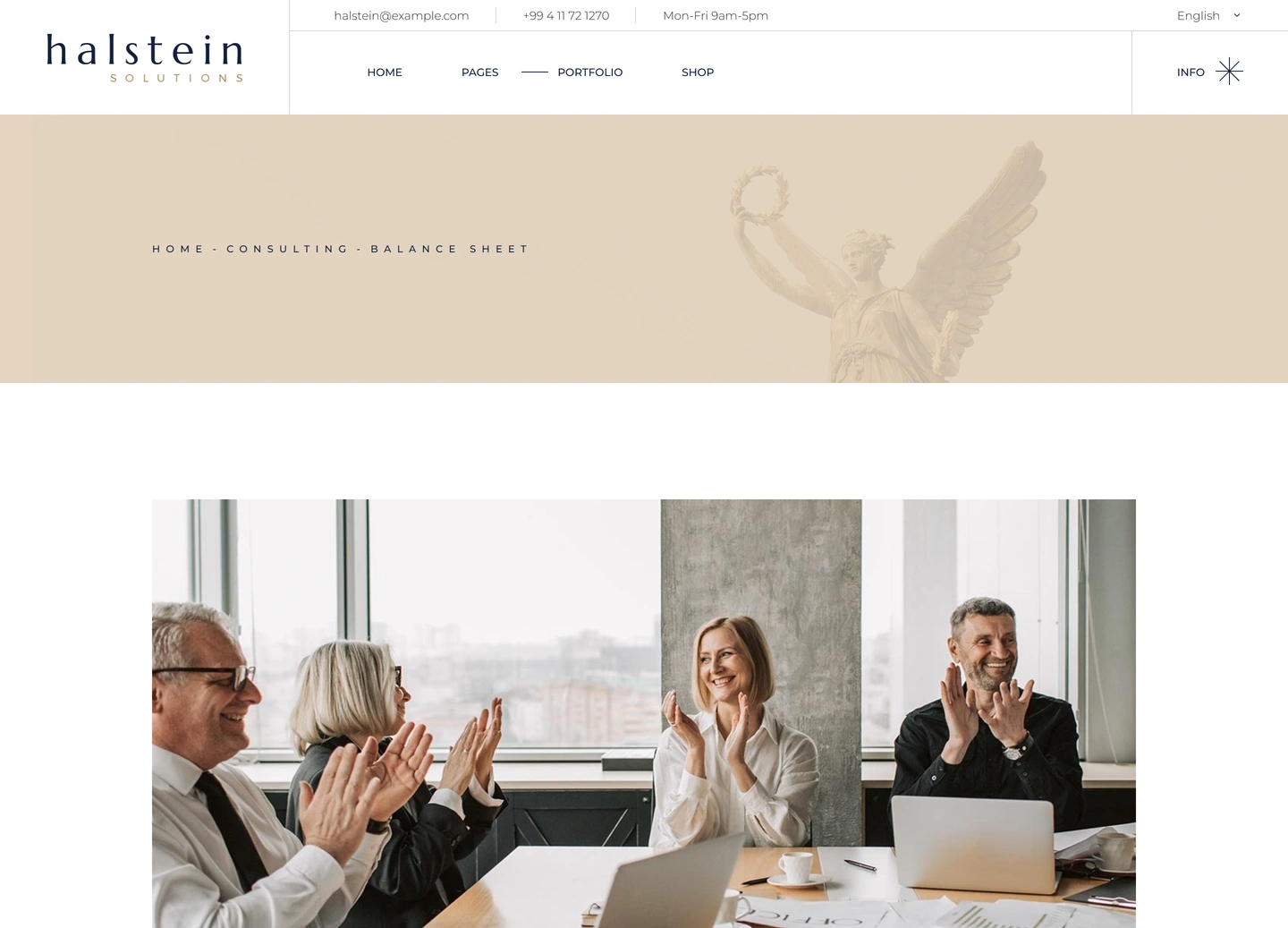 Halstein website — Portfolio item / balance sheet